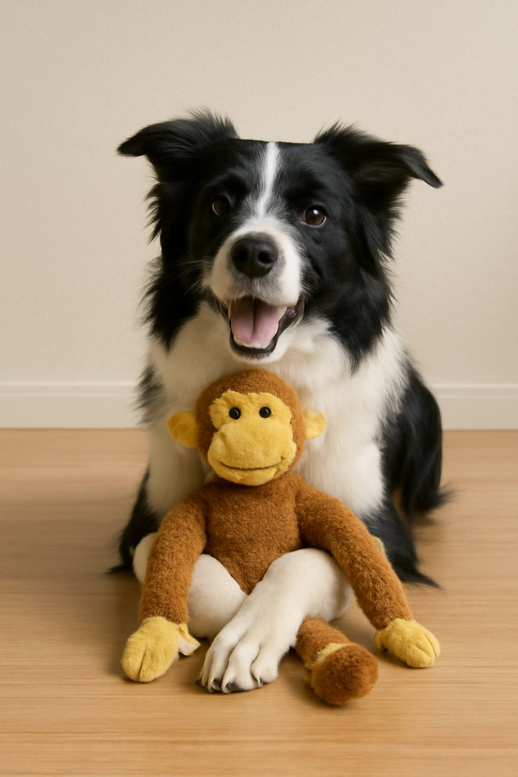 PRODUCTOS PARA PERROS