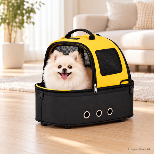 CityPaw-Coche para perros