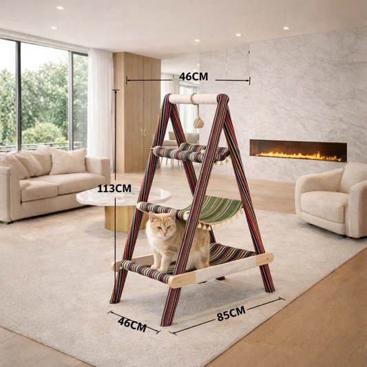 Cat Adventure Ladder