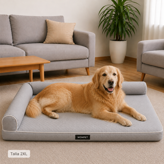 Ergo Bed - Cama Ergonómica para Perros