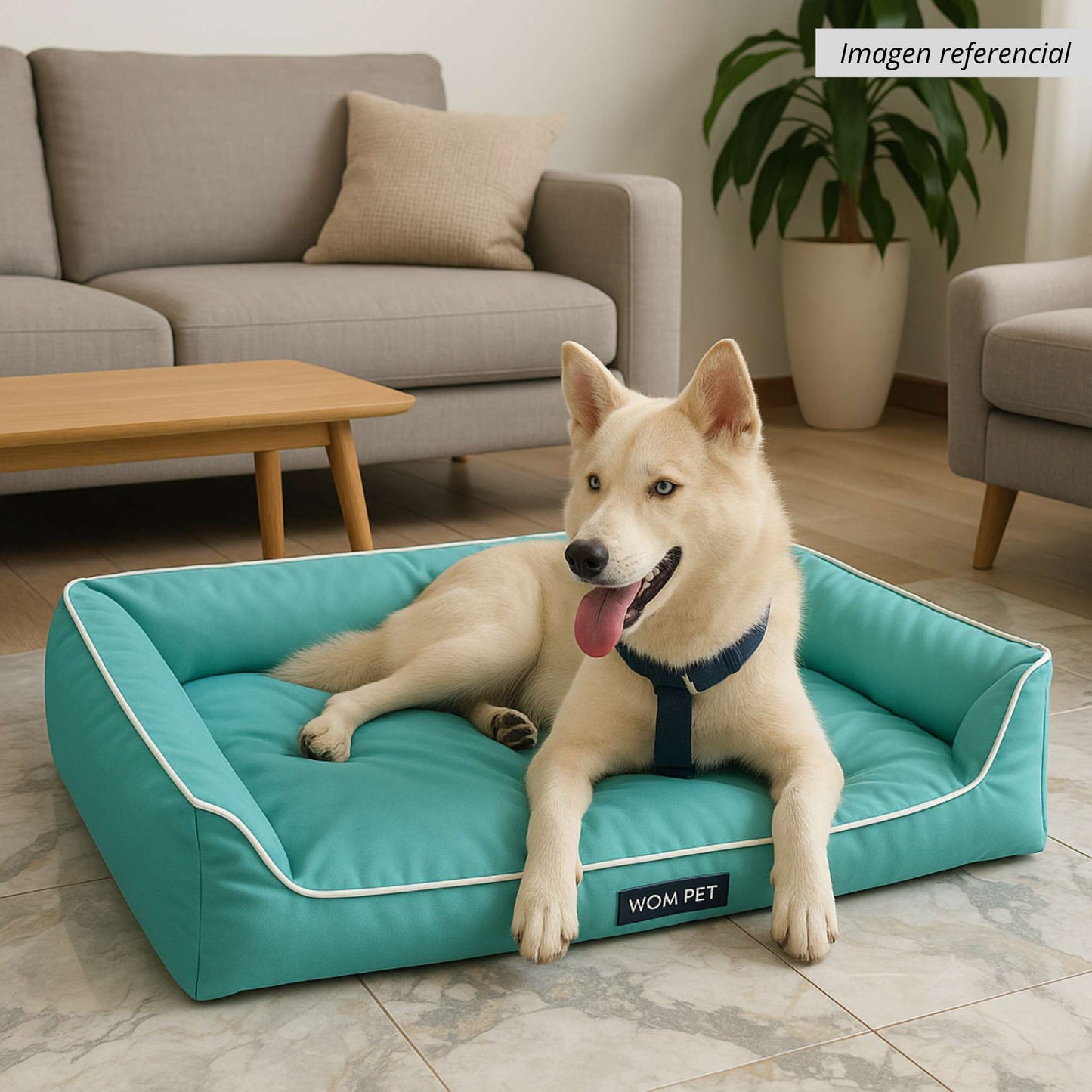 Ergo Bed - Cama Ergonómica para Perros