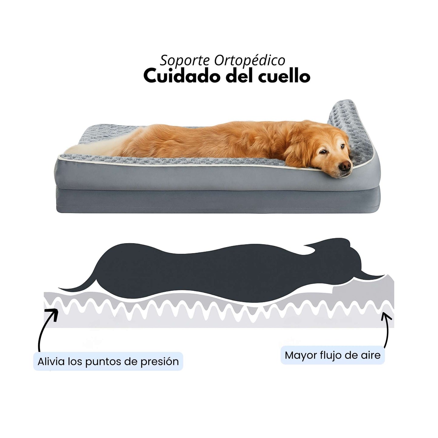 Ergo Bed - Cama Ergonómica para Perros