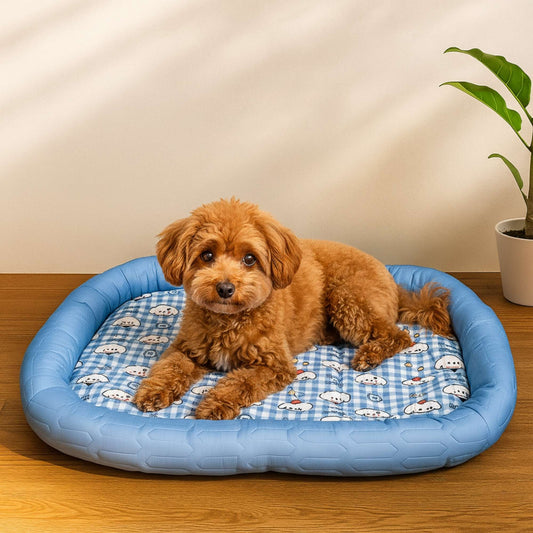 Summer Sleep - Cama Refrescante para Mascotas