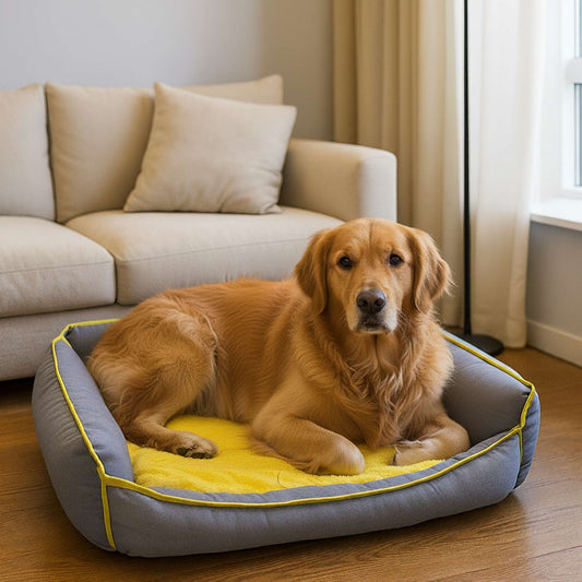 Good Morning - Cama Sofa para Perros
