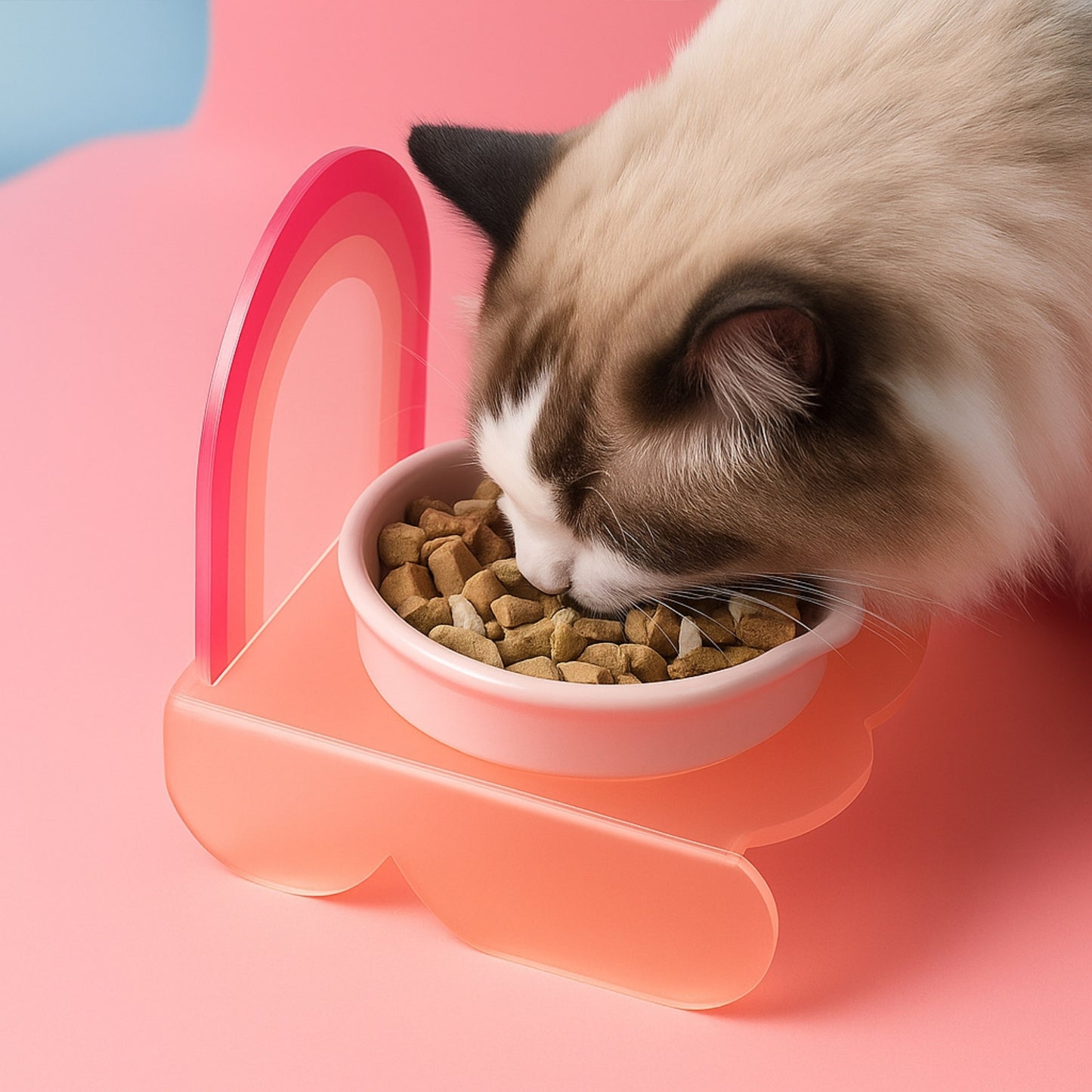 Lovely Cat Rainbow Dish Plato de Cerámica para Gatos
