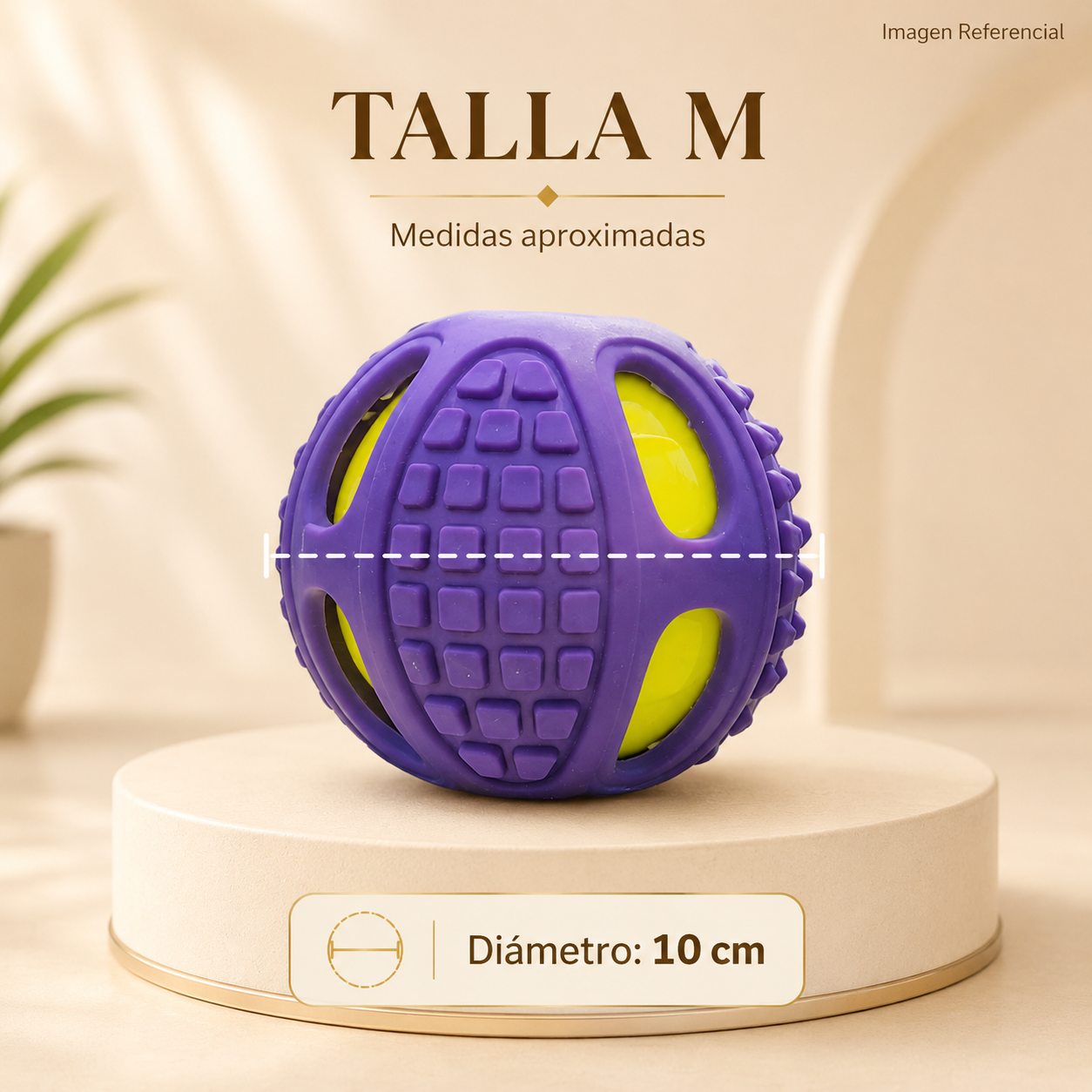 Pelota Interactiva Pro