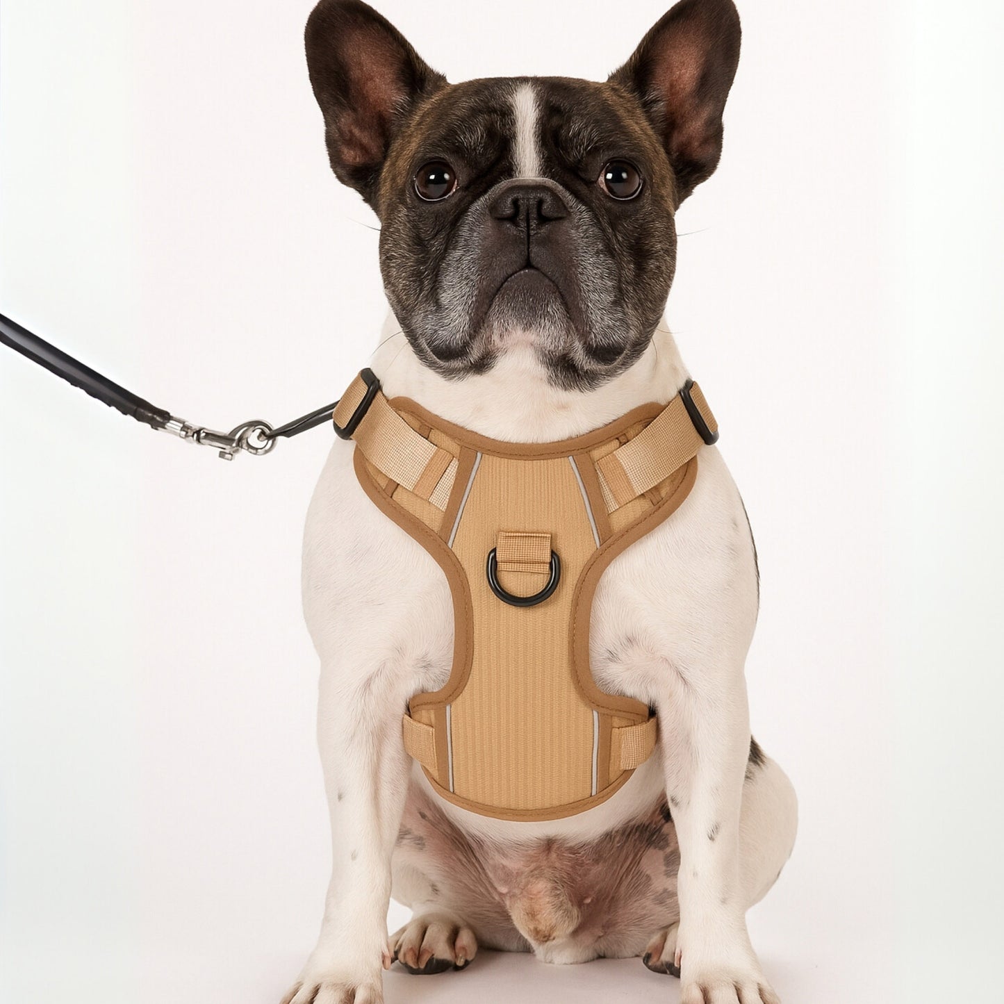 GlowFit - Pechera LED Antitirones Ajustable para Perros