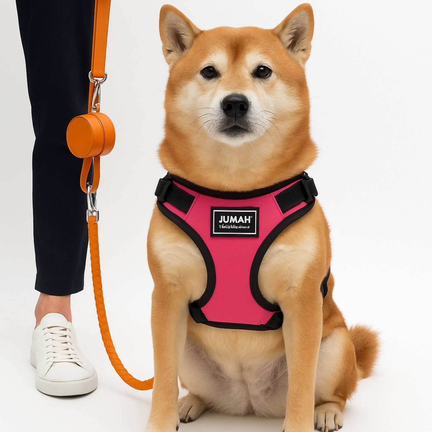 CoreFit - Pecheras para Perros