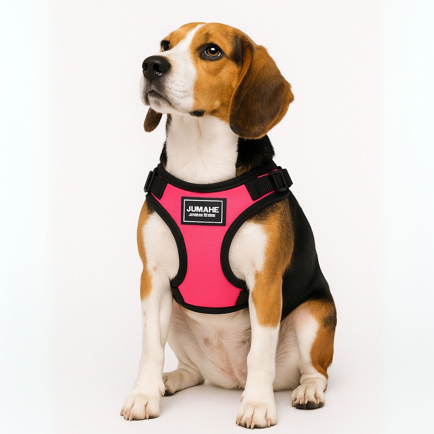 CoreFit - Pecheras para Perros