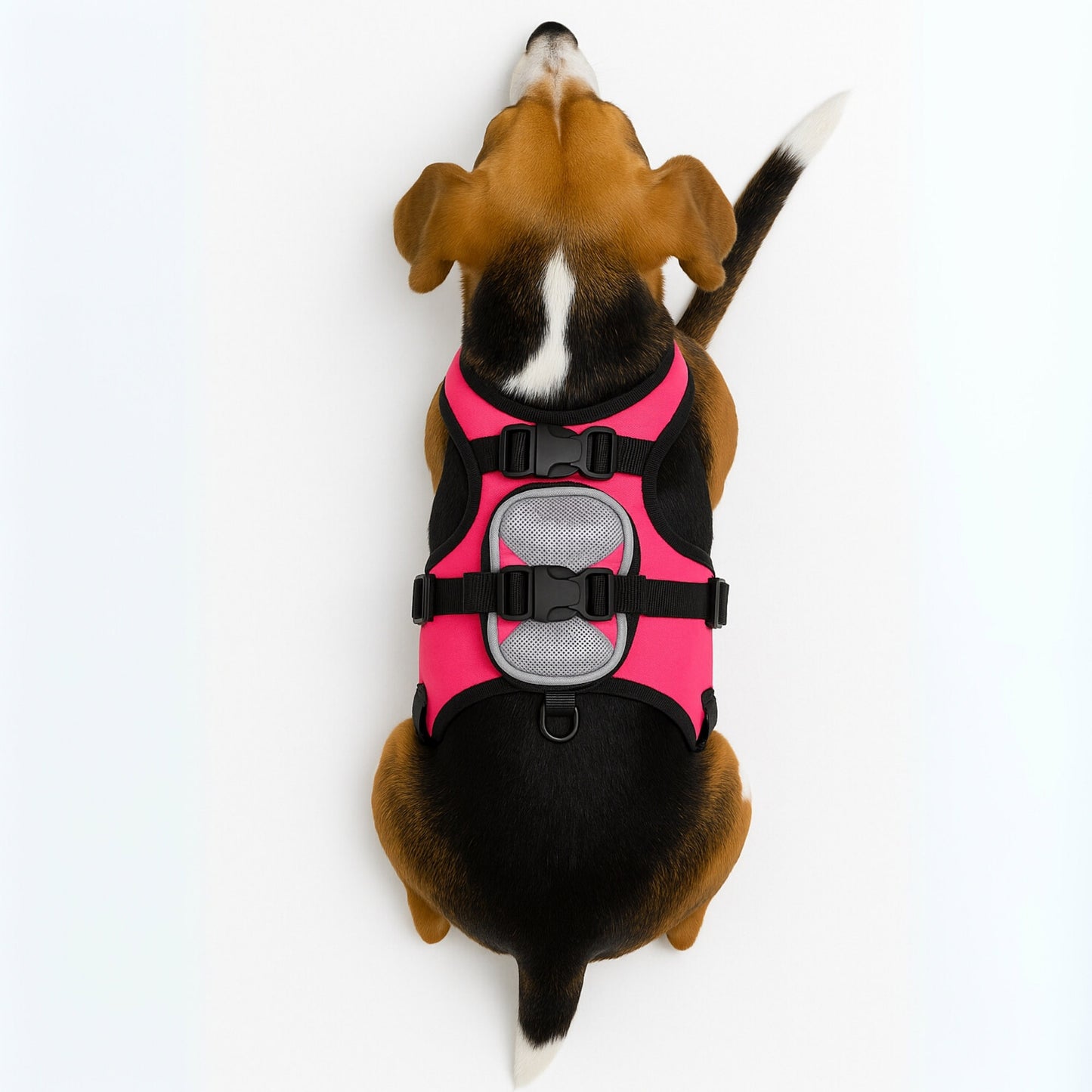CoreFit - Pecheras para Perros