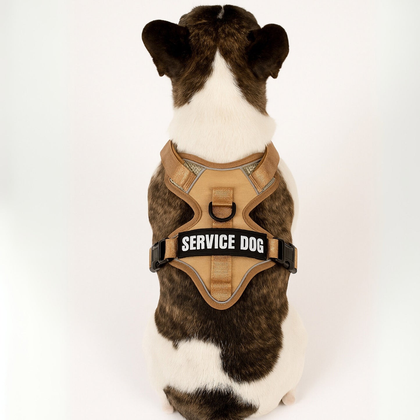 GlowFit - Pechera LED Antitirones Ajustable para Perros