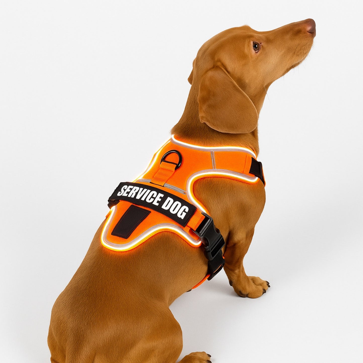 GlowFit - Pechera LED Antitirones Ajustable para Perros