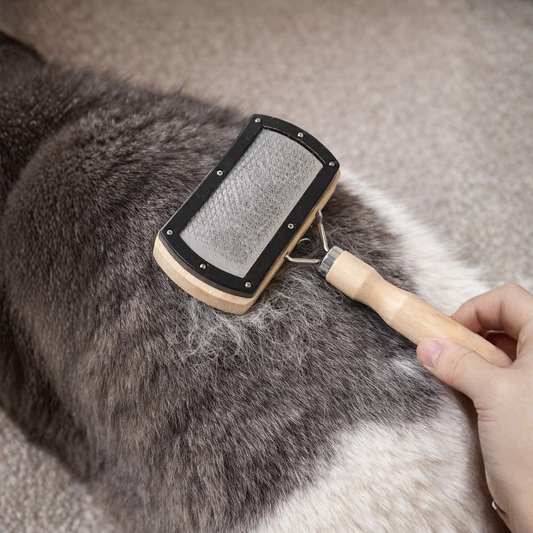 Peine Remove- Cepillo Quita Pelo para Perros y Gatos