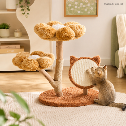 🐱 Jardín Felino- Para gatos