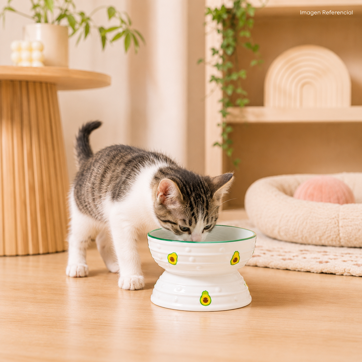 FrutiBowl- Comedero para perros y gatos
