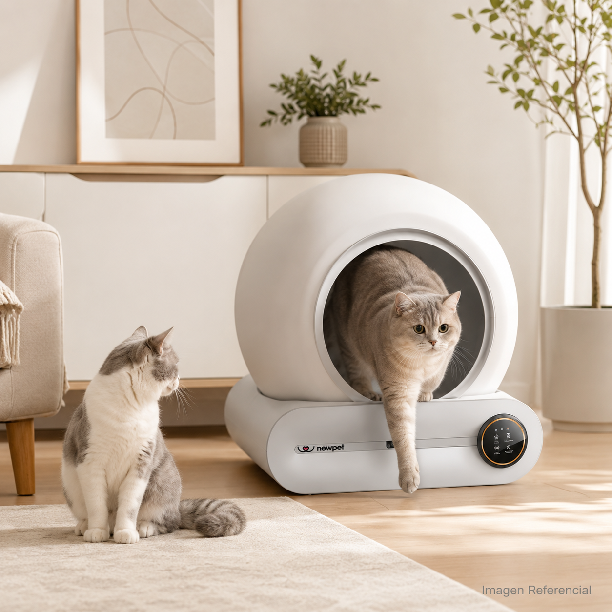 WiFi Cat Box- Arenero inteligente para gatos