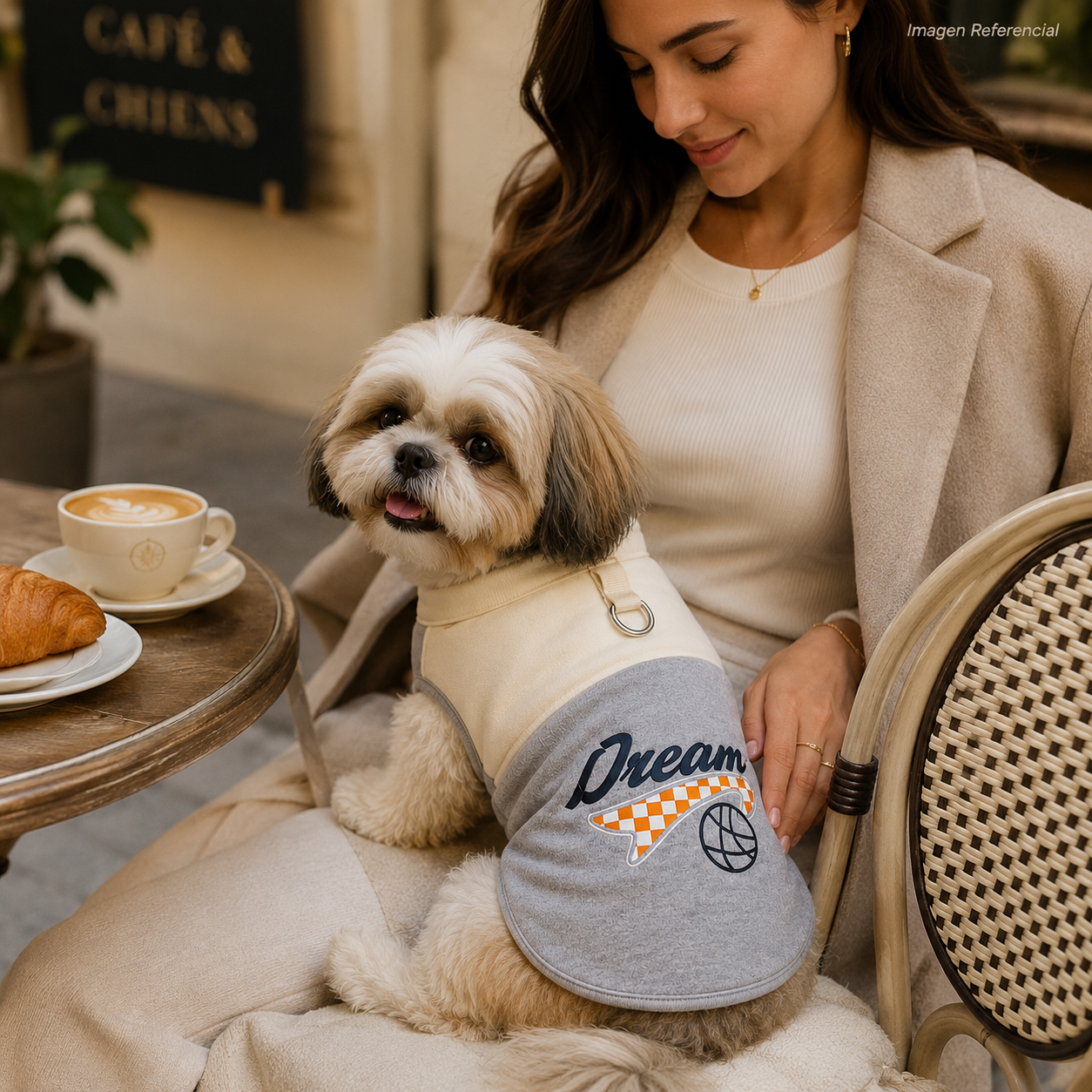 Rookie Dream- Ropa para perros