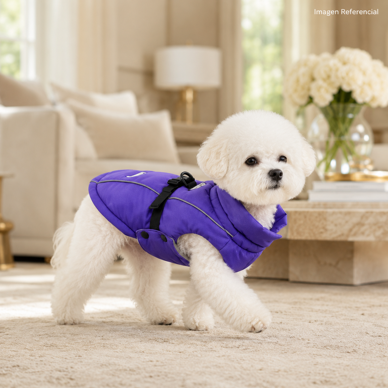 Abrigo Active Pet- ropa para perros