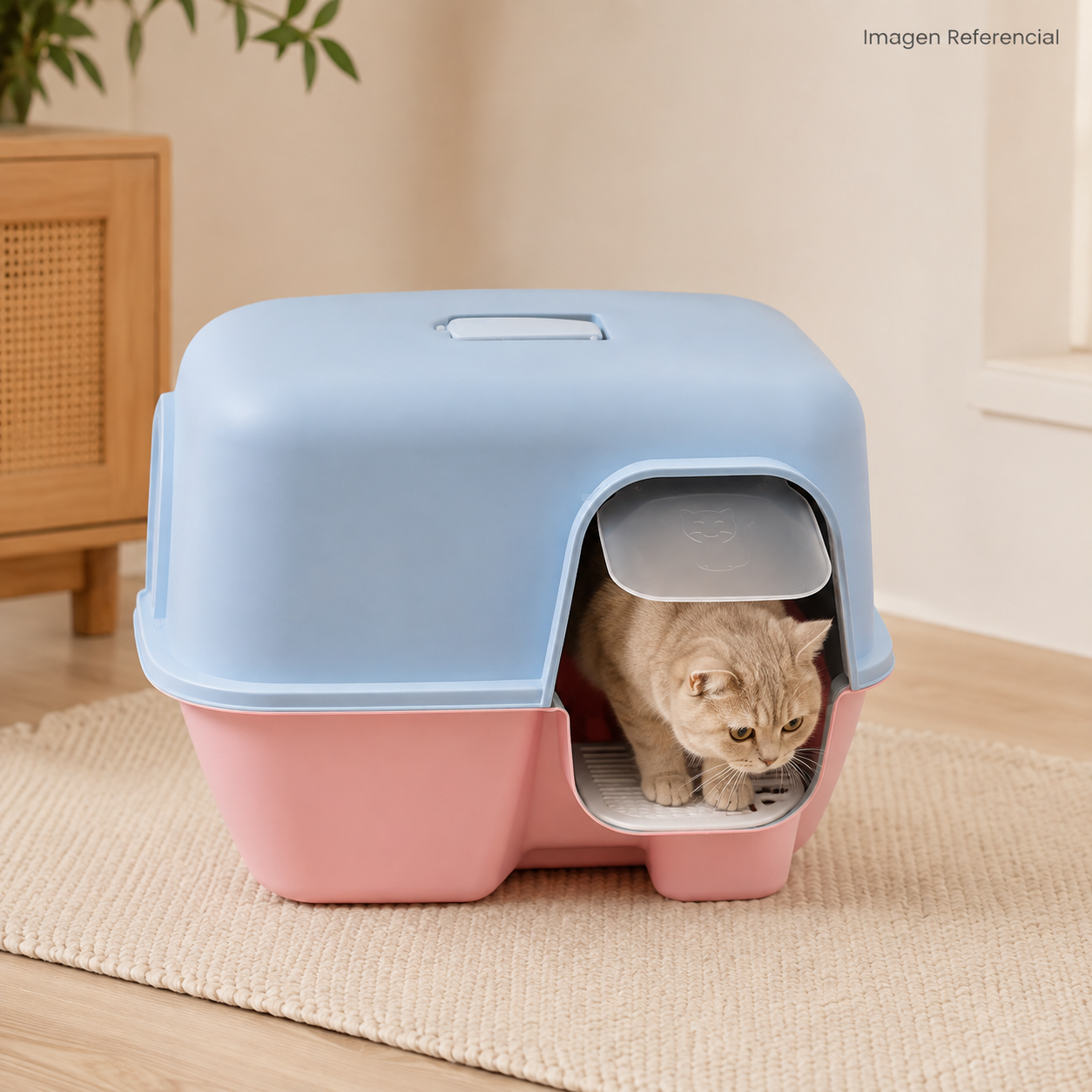 MiauBox- Arenero para gatos