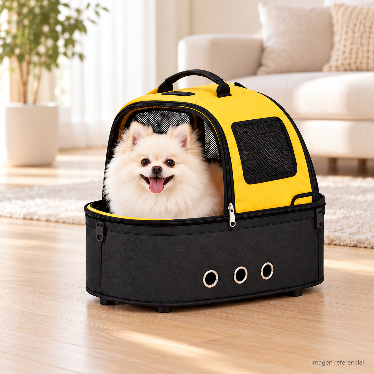 CityPaw-Coche para perros