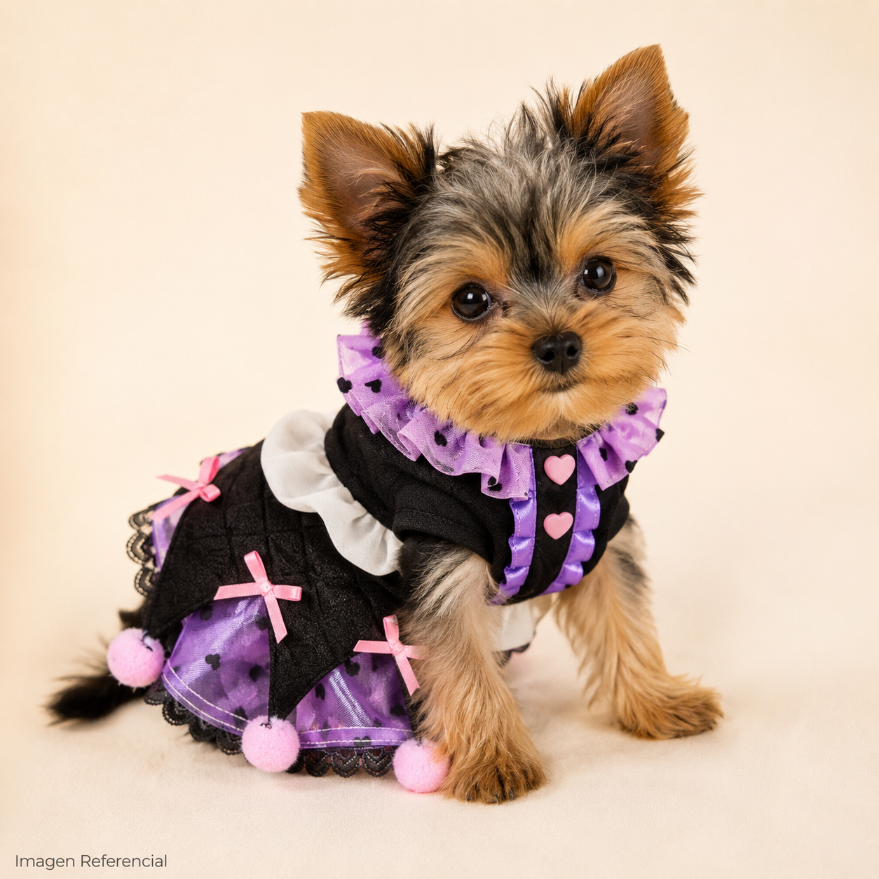 Purple Hearts- Ropa para cachorros