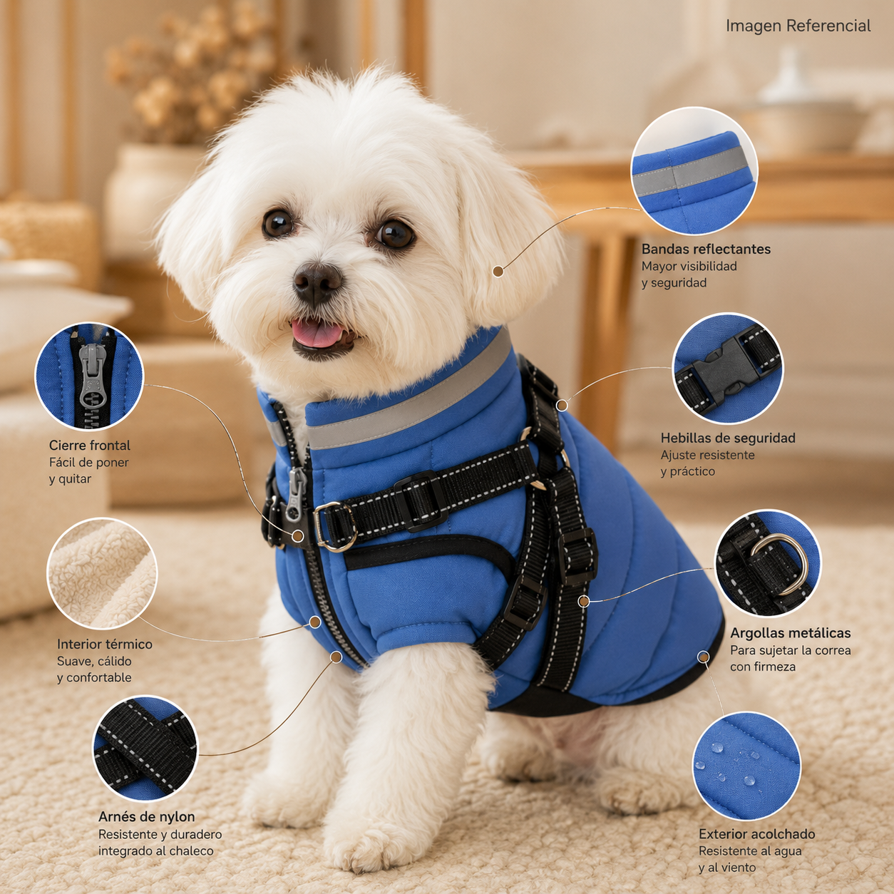 Urban Cozy- Ropa para perros