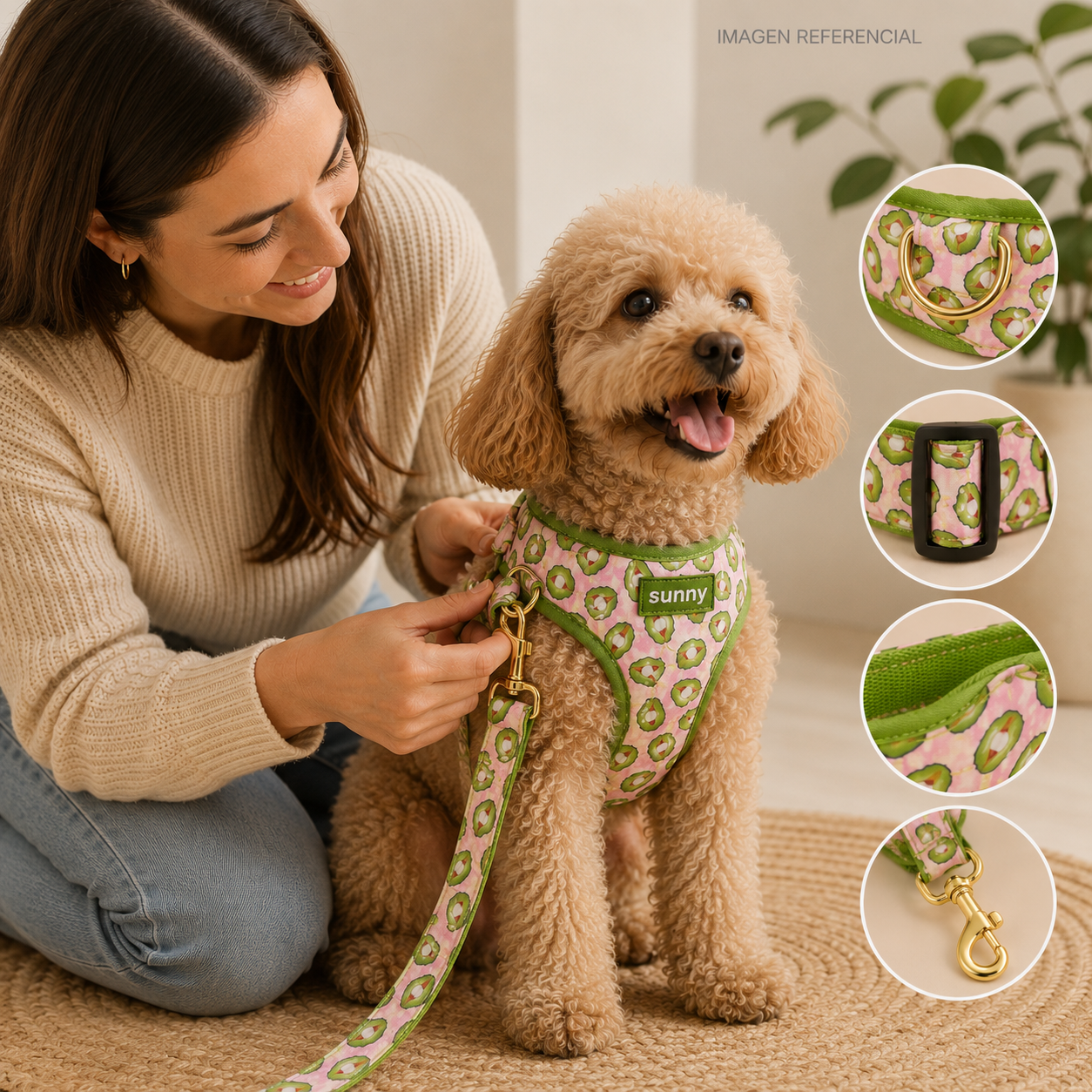 Correas De la Pechera Sunny