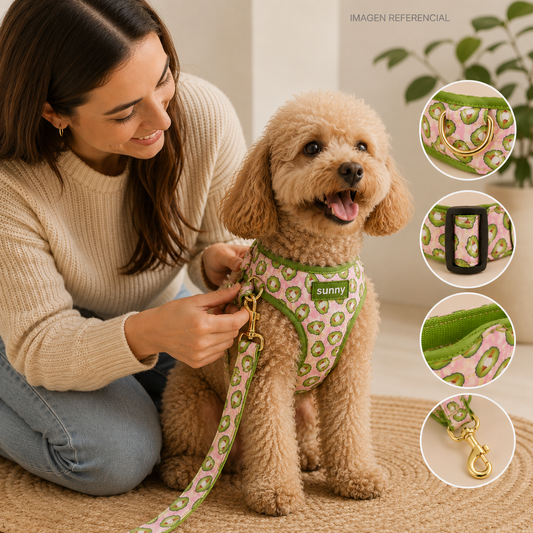 Correas De la Pechera Sunny