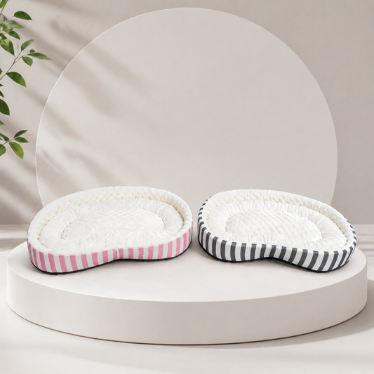 Cama Dreamy Paw