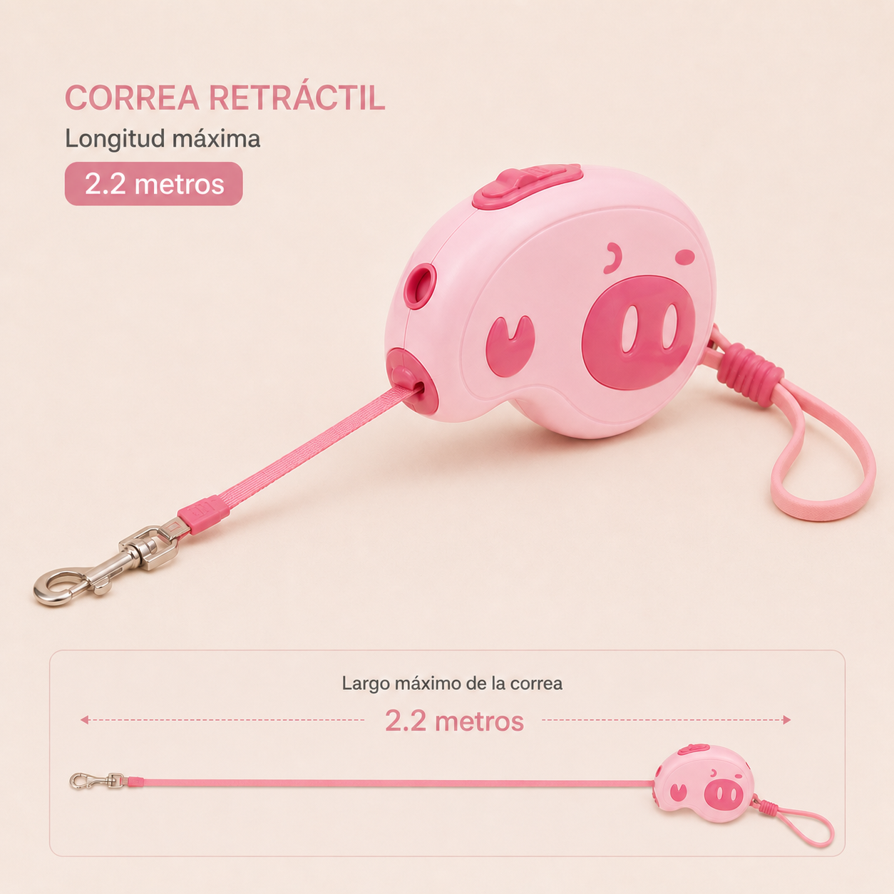 Correa Wincha Minipig