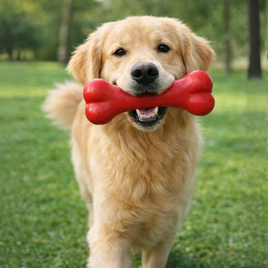 Power Bone - Hueso Mordedor