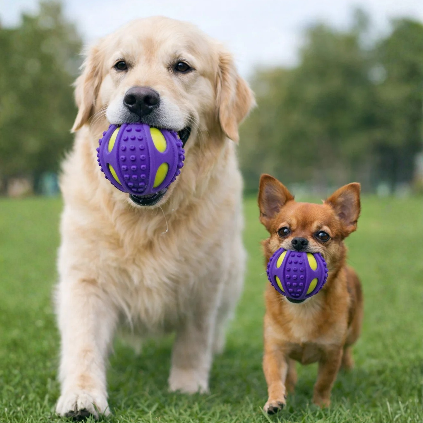 Pelota Interactiva Pro