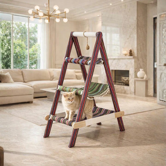 Cat Adventure Ladder