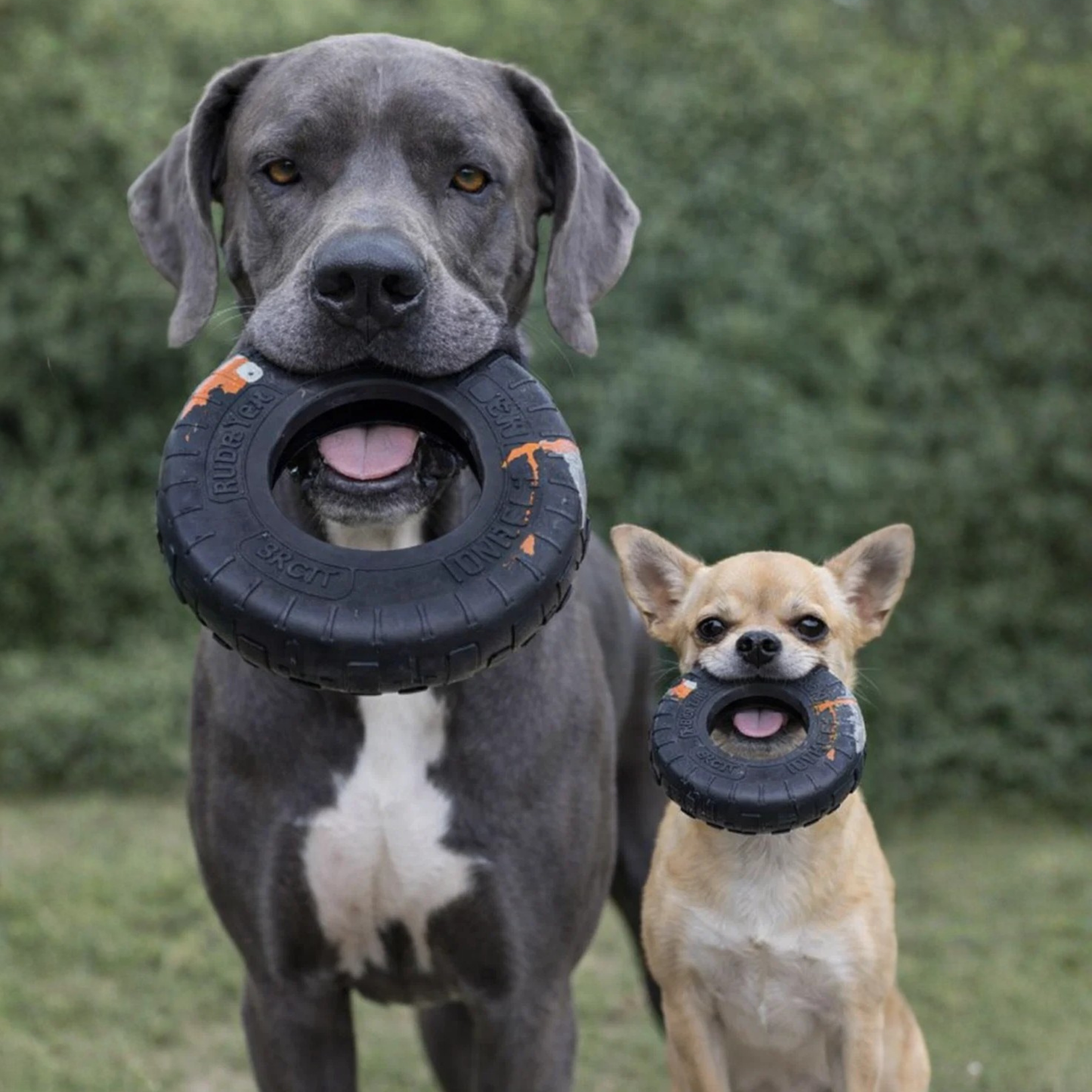 TirePro -  Juguete Mordedor para Perros