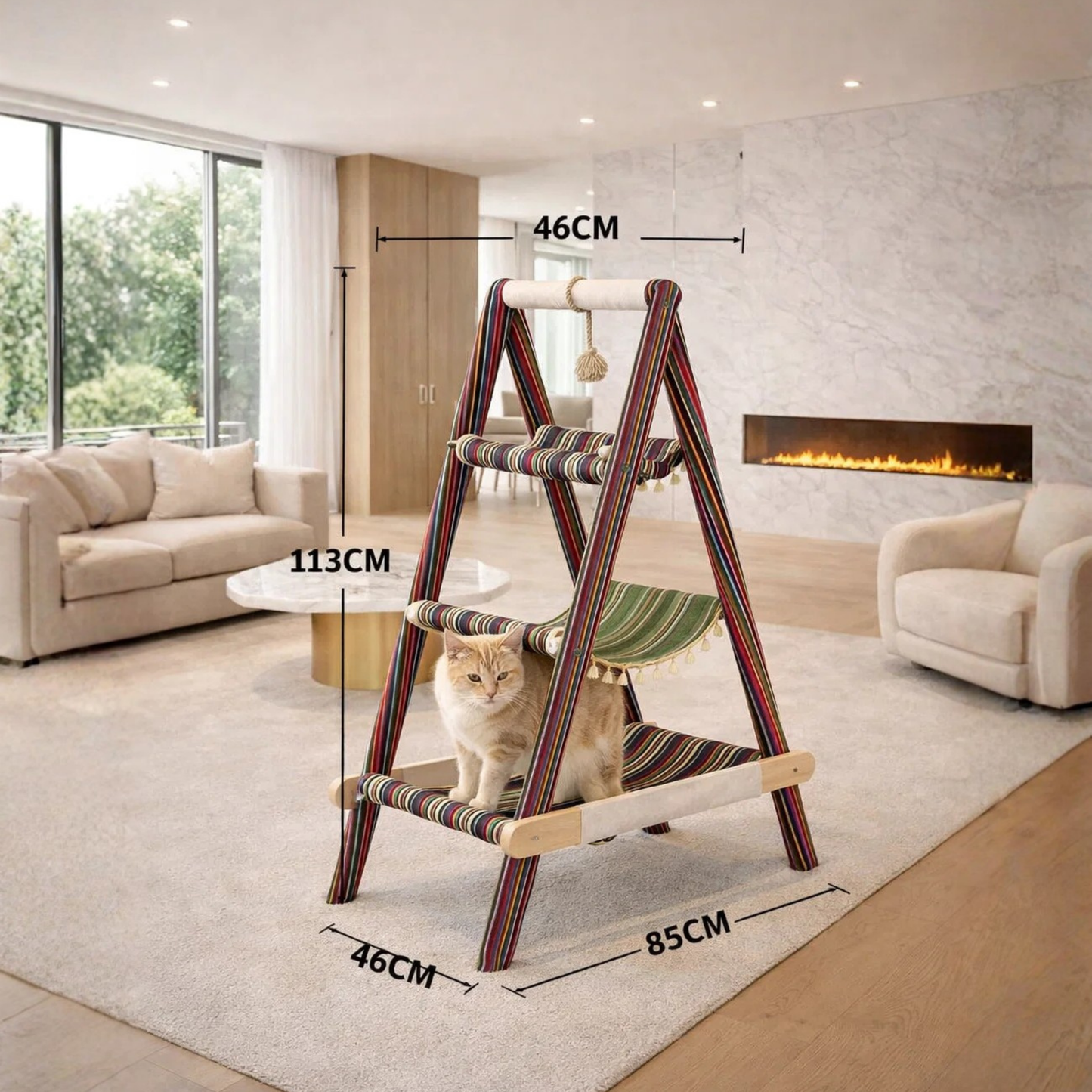 Cat Adventure Ladder