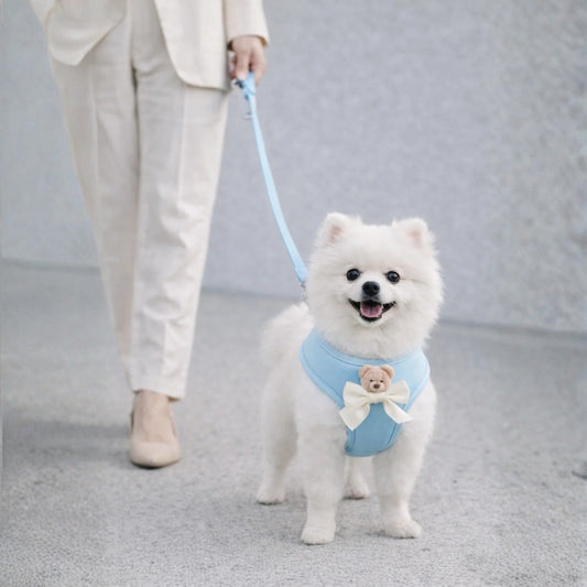 Teddy Bear Arness_ Standar