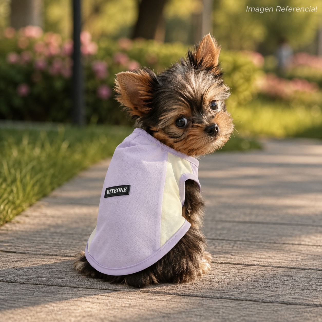 Lilac Breeze- Ropa para cachorros