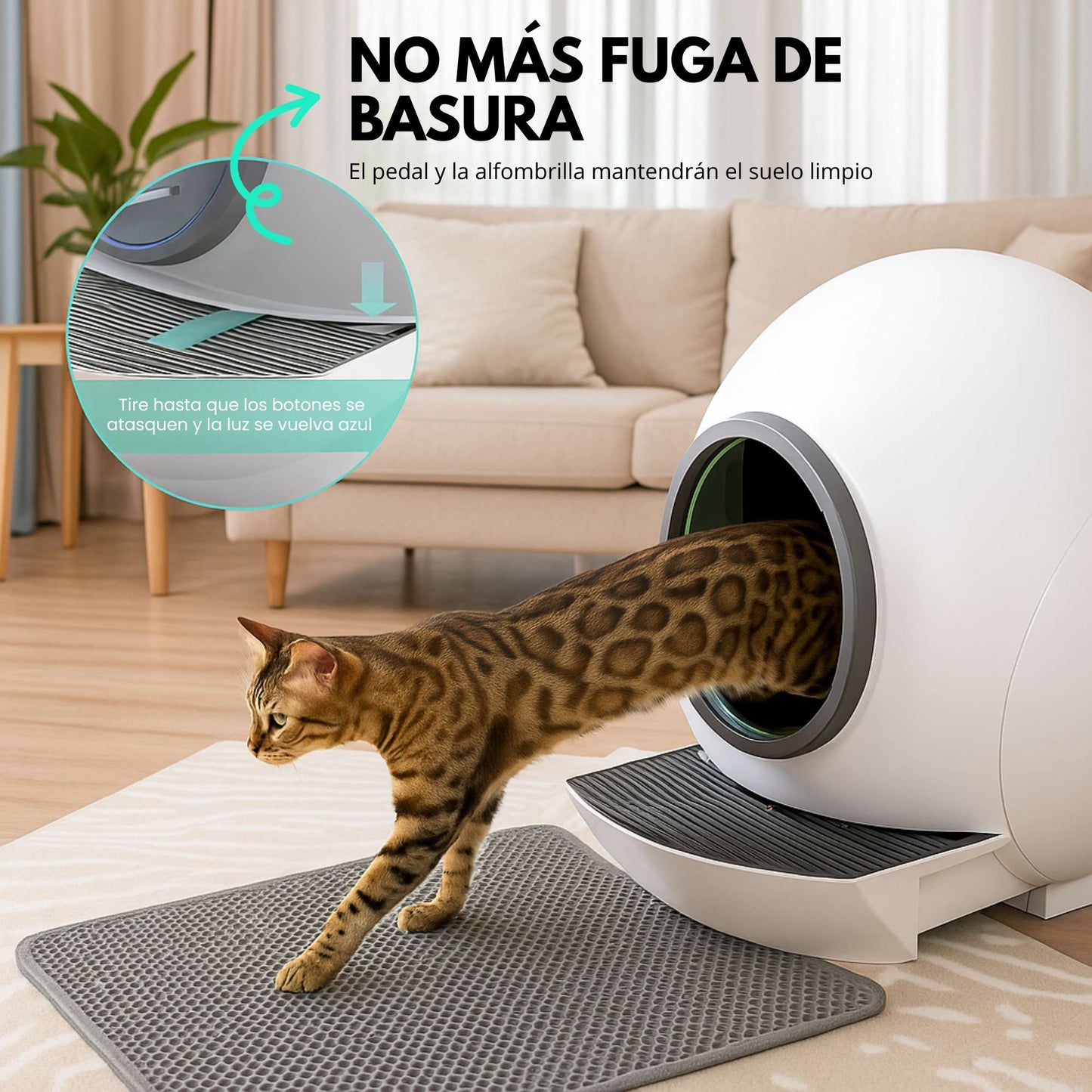 CapsulaCat - Arenero Smart Automático para Gatos