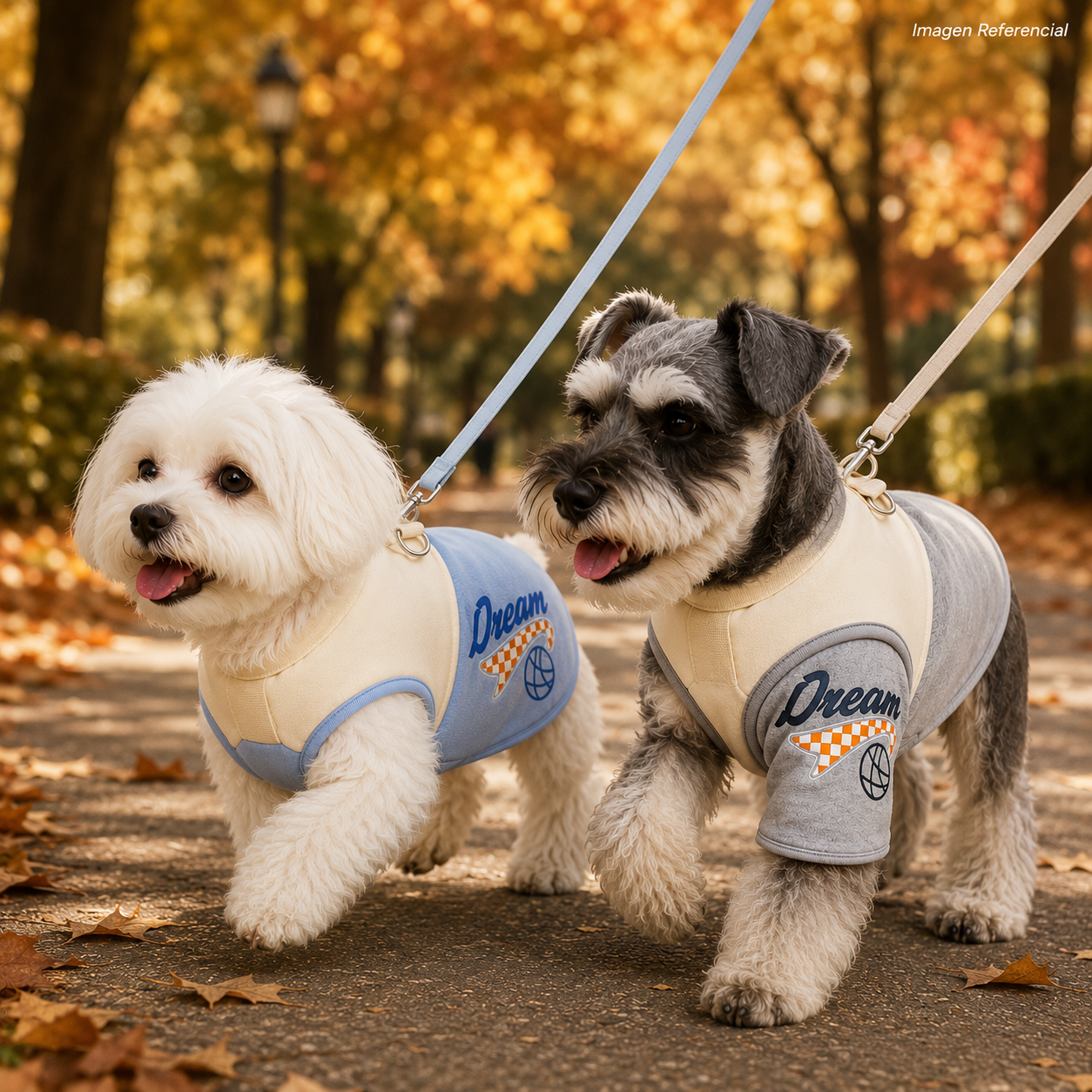 Rookie Dream- Ropa para perros