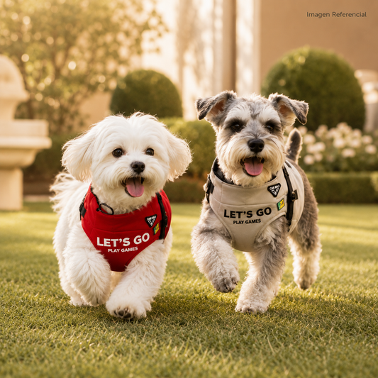 AdventureFit- Ropa para perros