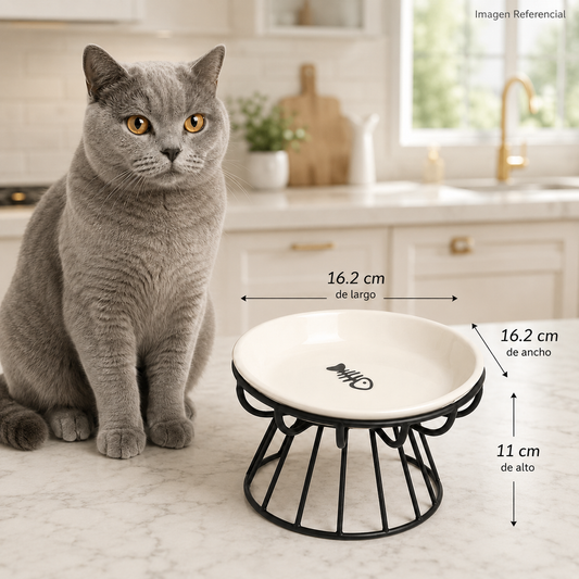 Fishy Dine- Comedero para gatos