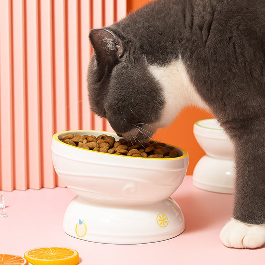 Bowl Frutal – Comedero Elevado de Cerámica