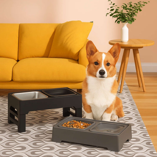 PawLevel - Comedero doble elevado ajustable para perro