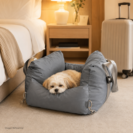 Travel Nest- Cama para perros y gatos