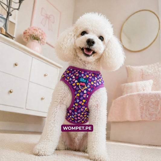 Sunny Pechera Para Mascotas