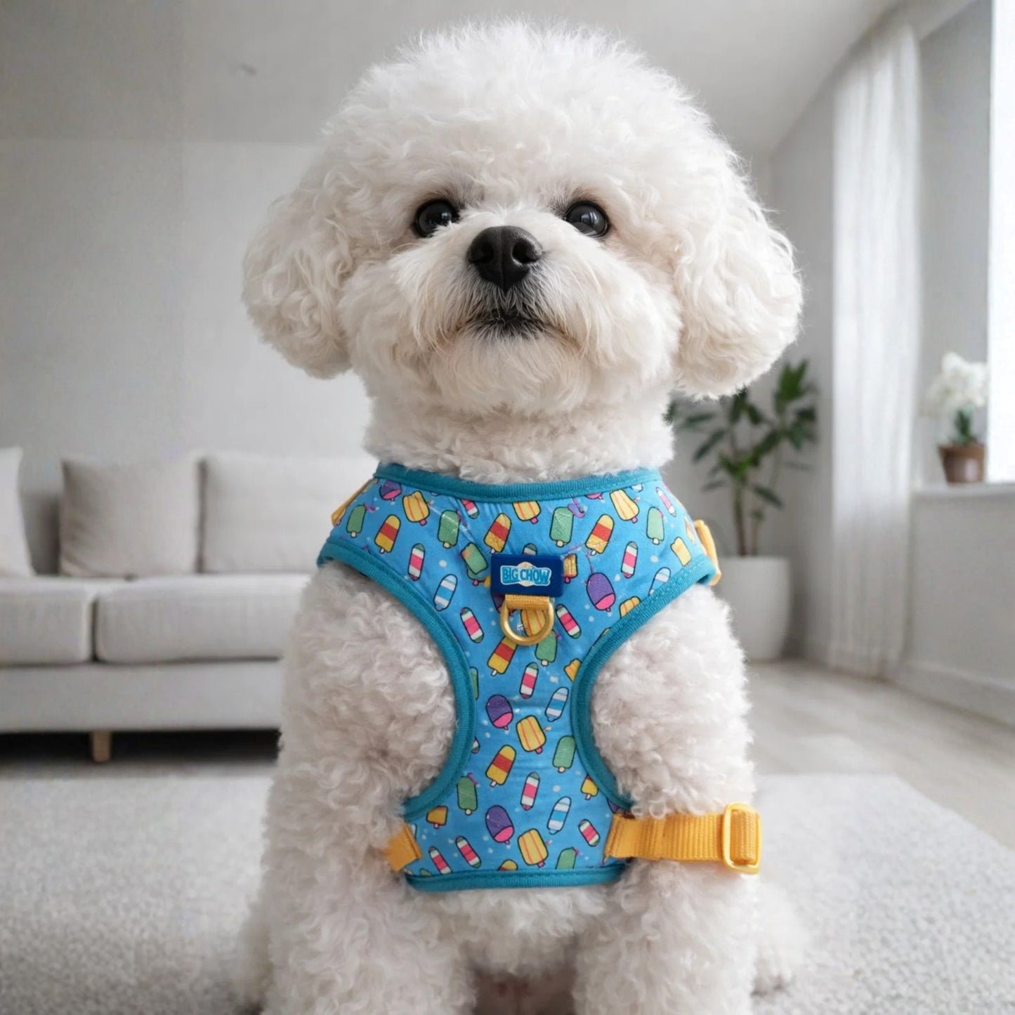 Sunny Pechera Para Mascotas