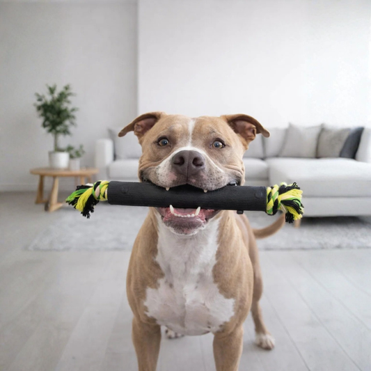 PowerBite Stick- Juguete Resistente