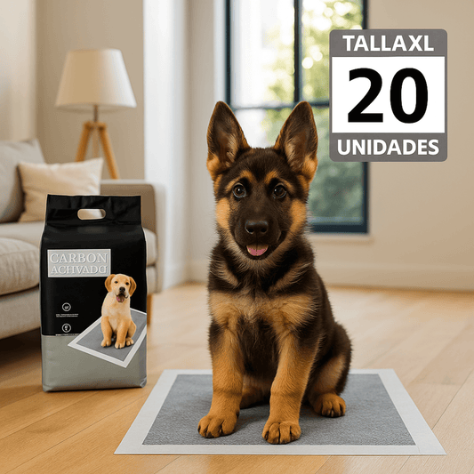 Pañal de Piso Carbón Activado - Talla XL -  60 x 90 cm