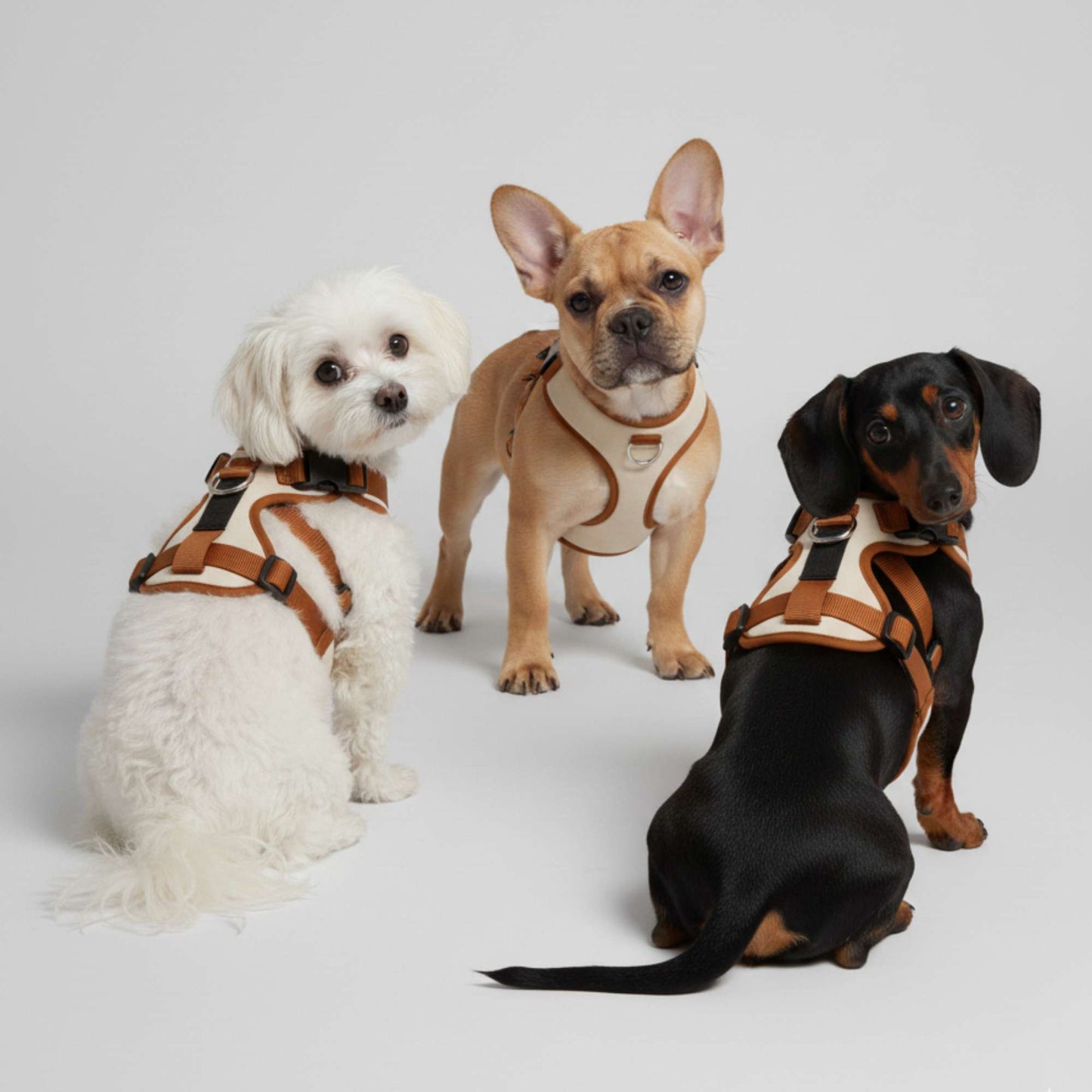 UrbanPaw - Arnes ajustable antitirones para perros