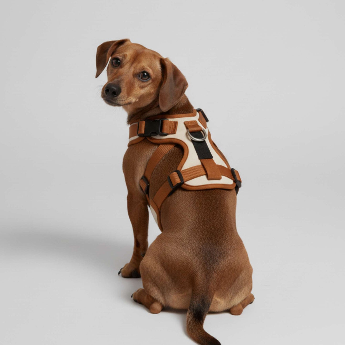 UrbanPaw - Arnes ajustable antitirones para perros